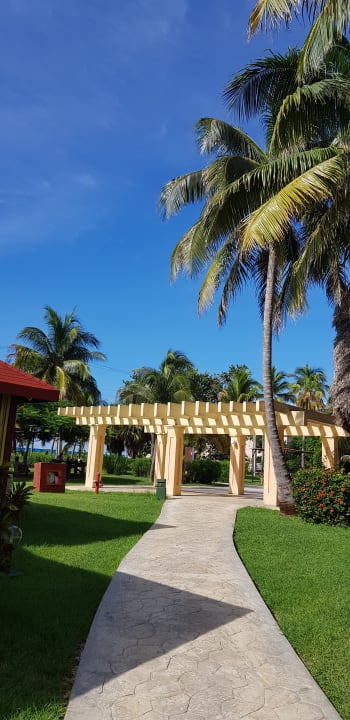 Garten Hotel Roc Barlovento
