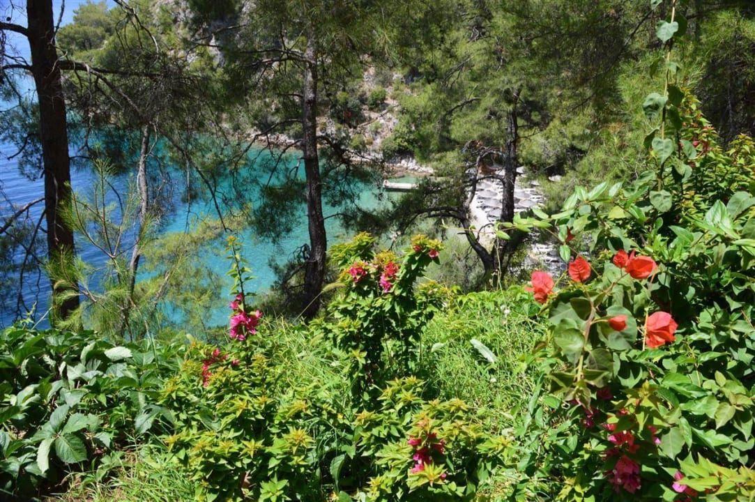 Ausblick zum Silent Hillside Beach Club