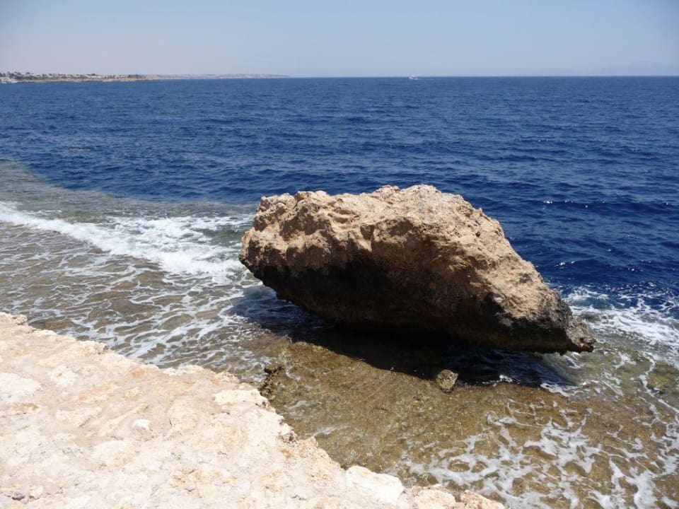 Riff vorm Strand The Grand Hotel Sharm El Sheikh