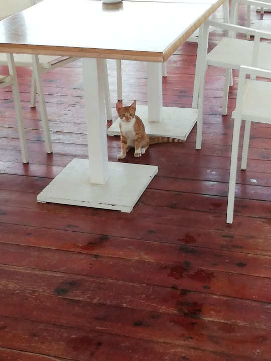 Sonstiges Diar Lemdina Hotel