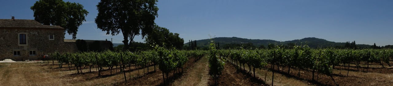 Weinrebe Hotel Le Leyrac