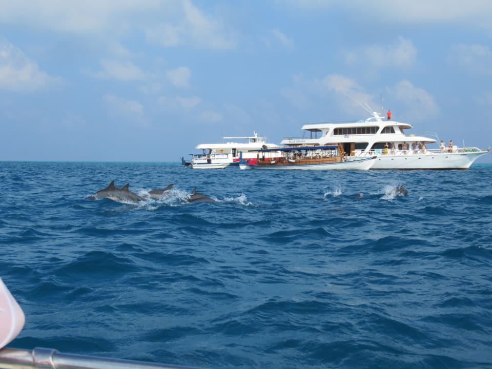 Sport & Freizeit Fihalhohi Maldives