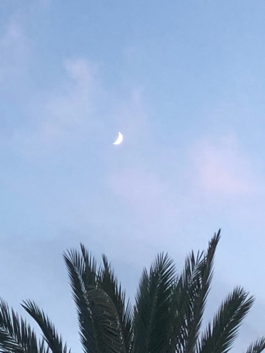 Ausblick Hotel Miramare Beach