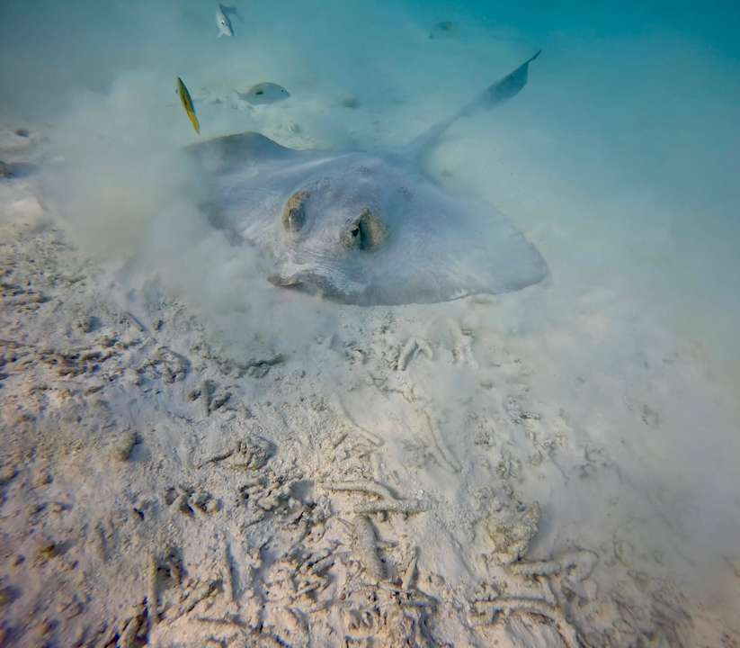 Strand Vilamendhoo Island Resort & Spa