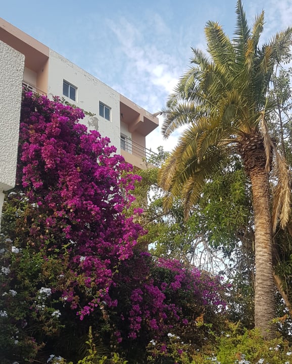 Ausblick TRH Taoro Garden