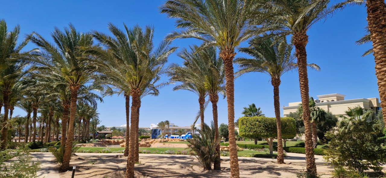 Gartenanlage Palm Royale Resort - Soma Bay