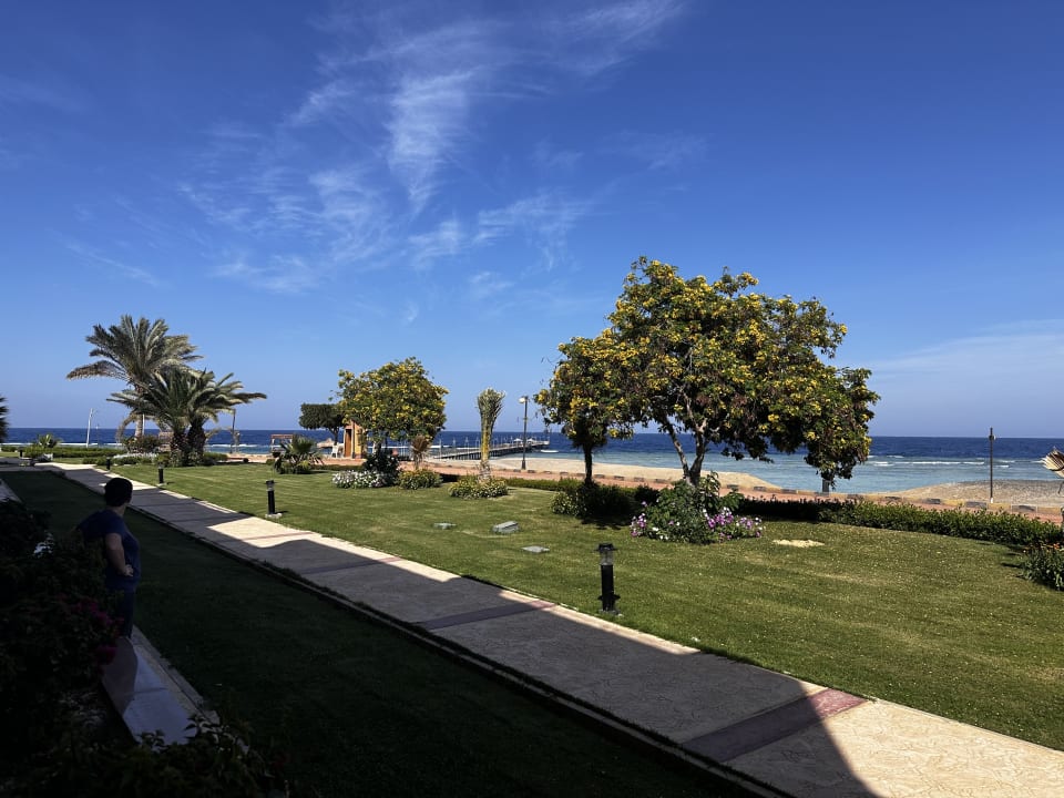 Ausblick Malikia Resort Abu Dabbab