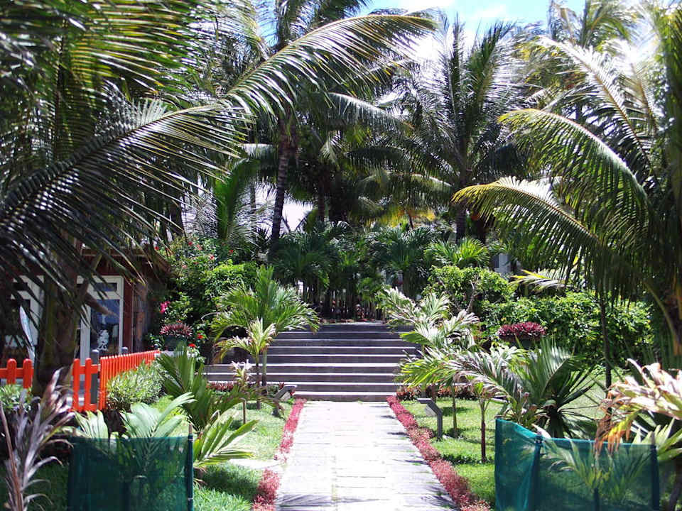Garten Veranda Palmar Beach Hotel