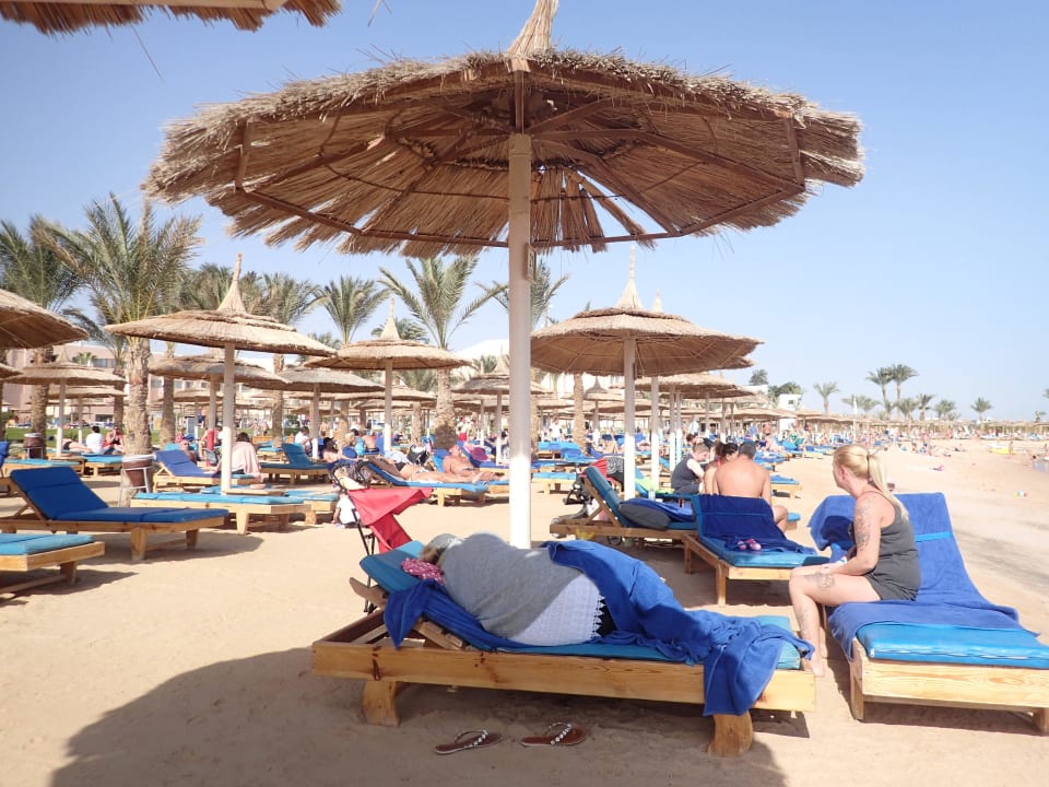Auch die Liegen Top.. Beach Albatros Resort