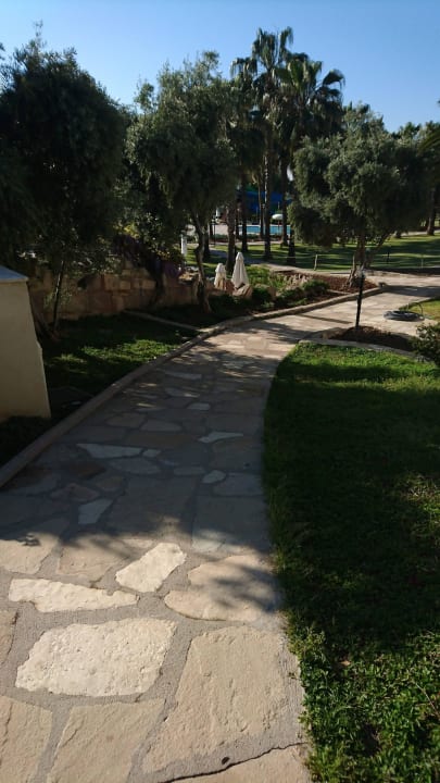 Arum Barut Collection  Arum Barut Collection