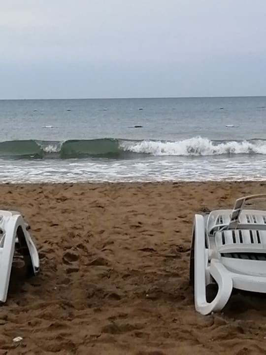 Strand Kamelya Aishen Club