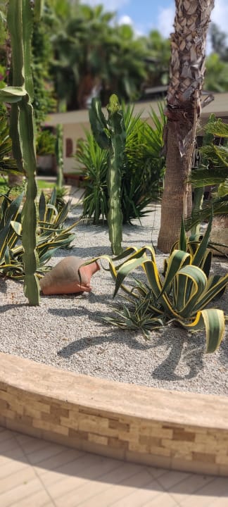 Gartenanlage Dizalya Palm Garden