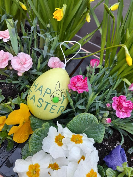 Gartenanlage Johannesbad Hotel Königshof