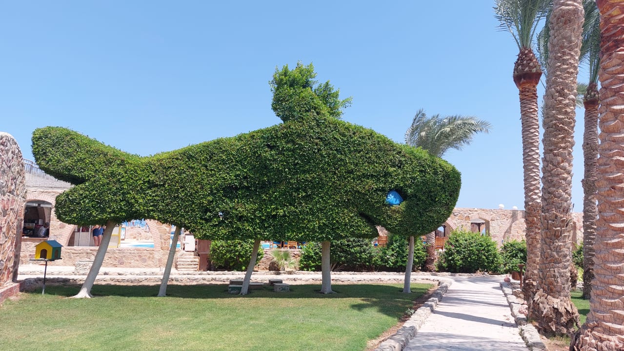 Gartenanlage Utopia Beach Club