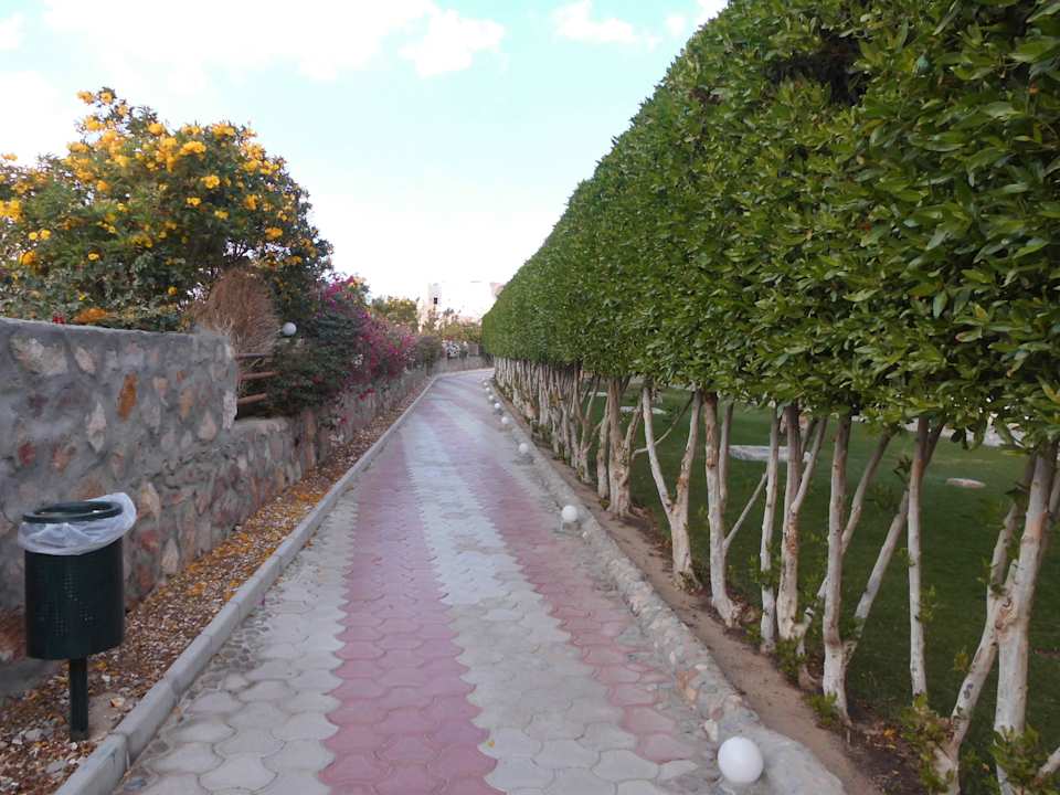 Sea Beach Marsa Alam Three Corners Sea Beach Resort