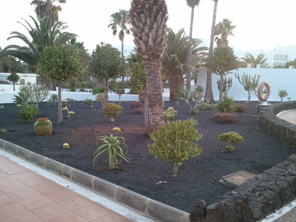 Garten vor unserem Zimmer Hotel Floresta