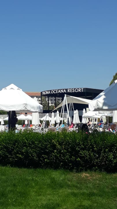 Sport & Freizeit Paloma Oceana