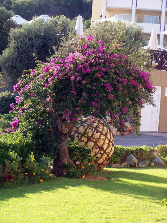 Super Hotel Kalithea Horizon Royal