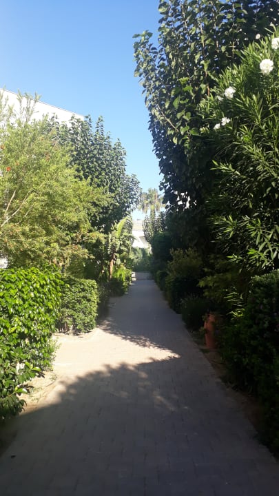 Gartenanlage Atlantica Aegean Blue