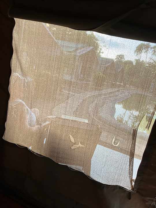 Zimmer BoraBora Wildlife park and Luxury Tented Safari Camp Diani