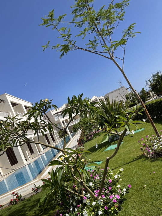Gartenanlage Steigenberger Resort Alaya Marsa Alam - Red Sea - Adults only