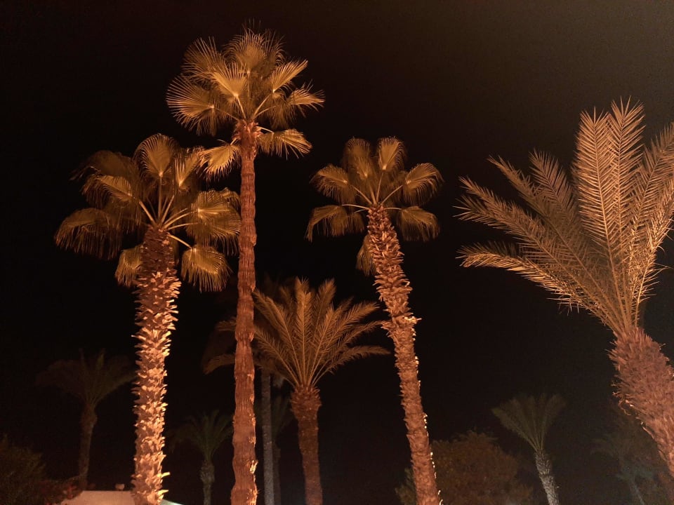 Gartenanlage El Mehdi Beach Resort