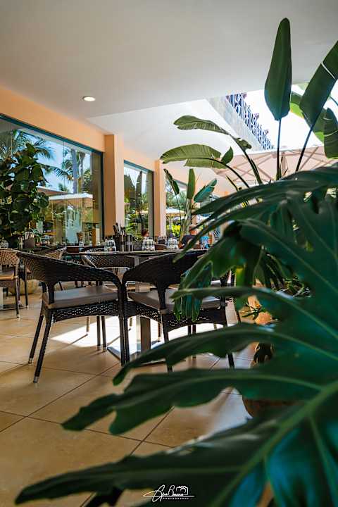 Gastro allsun Hotel Esplendido