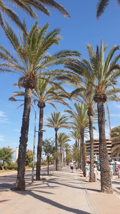 Strand HM Balanguera Beach