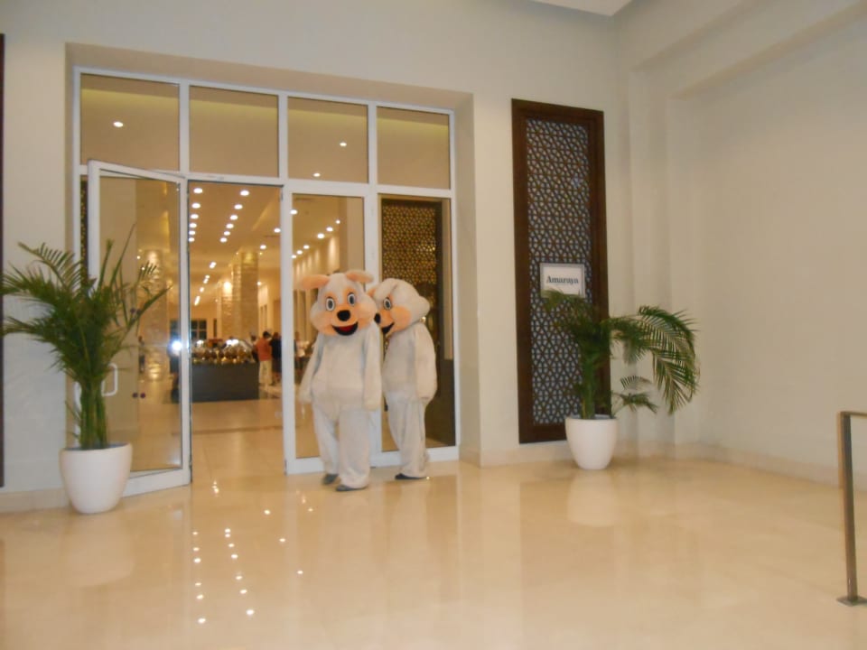 Sonstiges Jaz Aquaviva