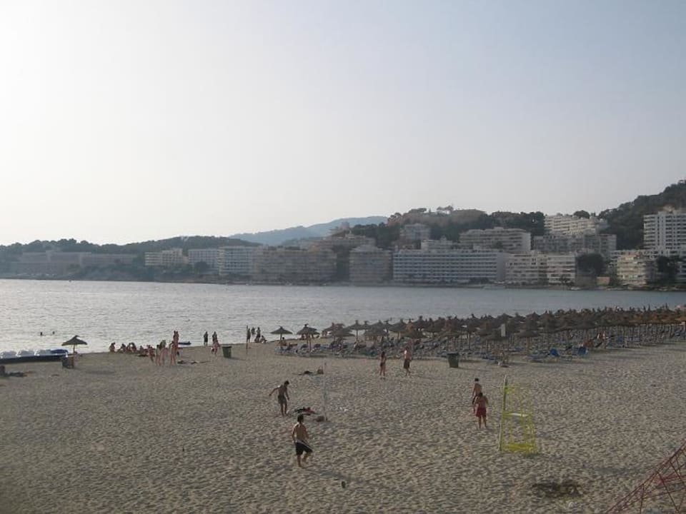 Strand Reverence Life  - Adults only