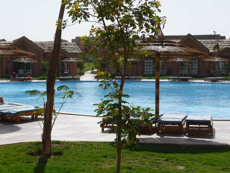 Zimmeraussicht 5024 Pickalbatros Jungle Aqua Park Resort - Neverland Hurghada