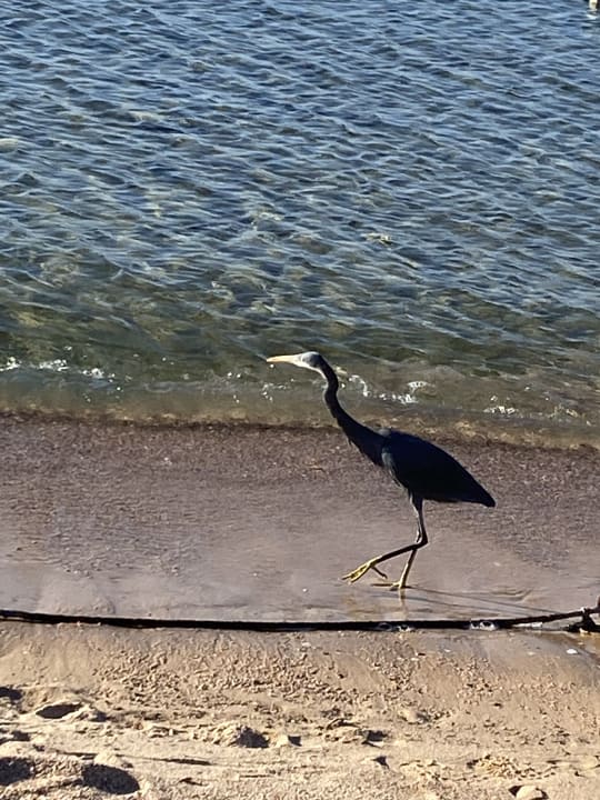 Strand Grand Waterworld Makadi