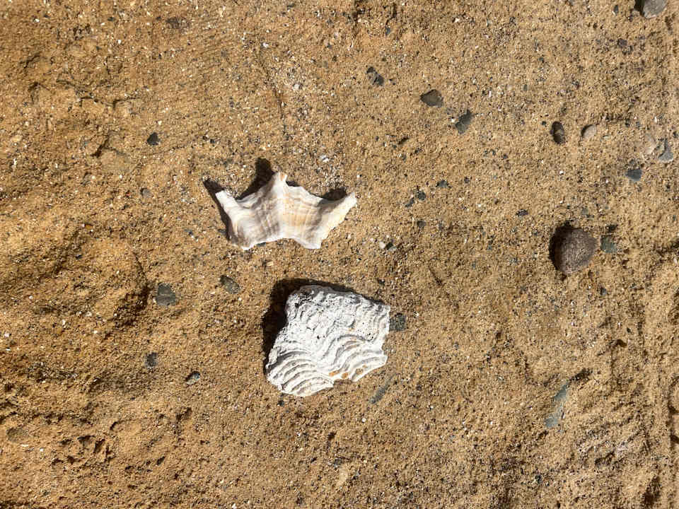 Strand Lazuli Hotel Marsa Alam