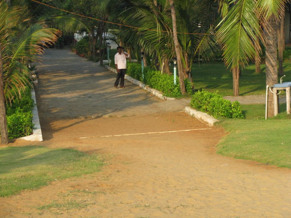 Gartenanlgae Hotel Sea Breeze