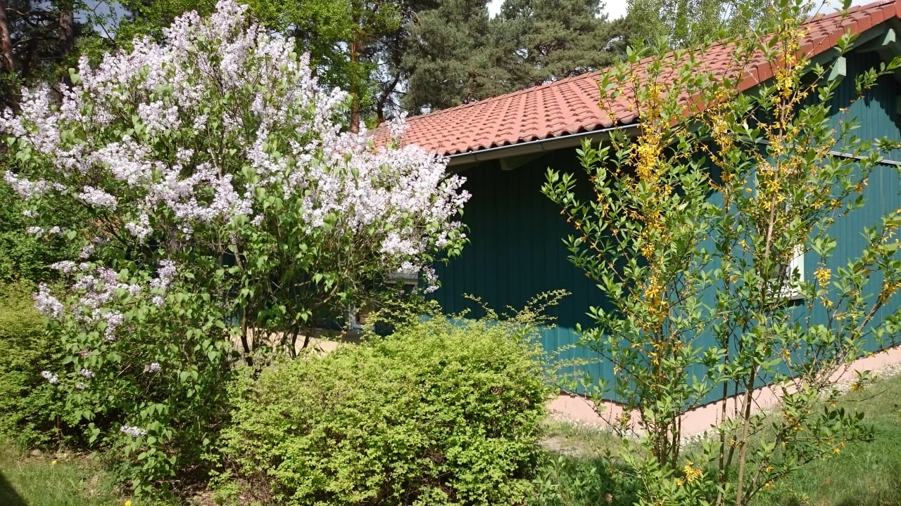 Außenansicht Familienpark Senftenberger See