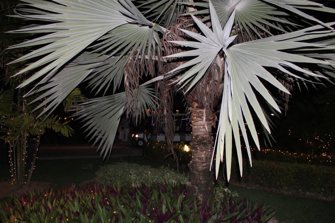 Hotel Grand Palladium Palace Resort, Spa & Casino Hotel Grand Palladium Palace Resort, Spa & Casino