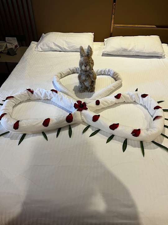 Zimmer Arycanda Kirman Premium