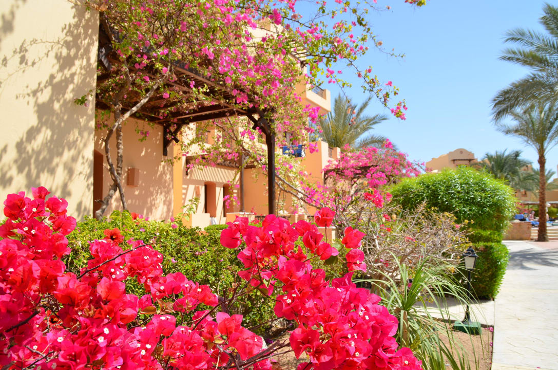 Einfach schön Steigenberger Coraya Beach - Adults only