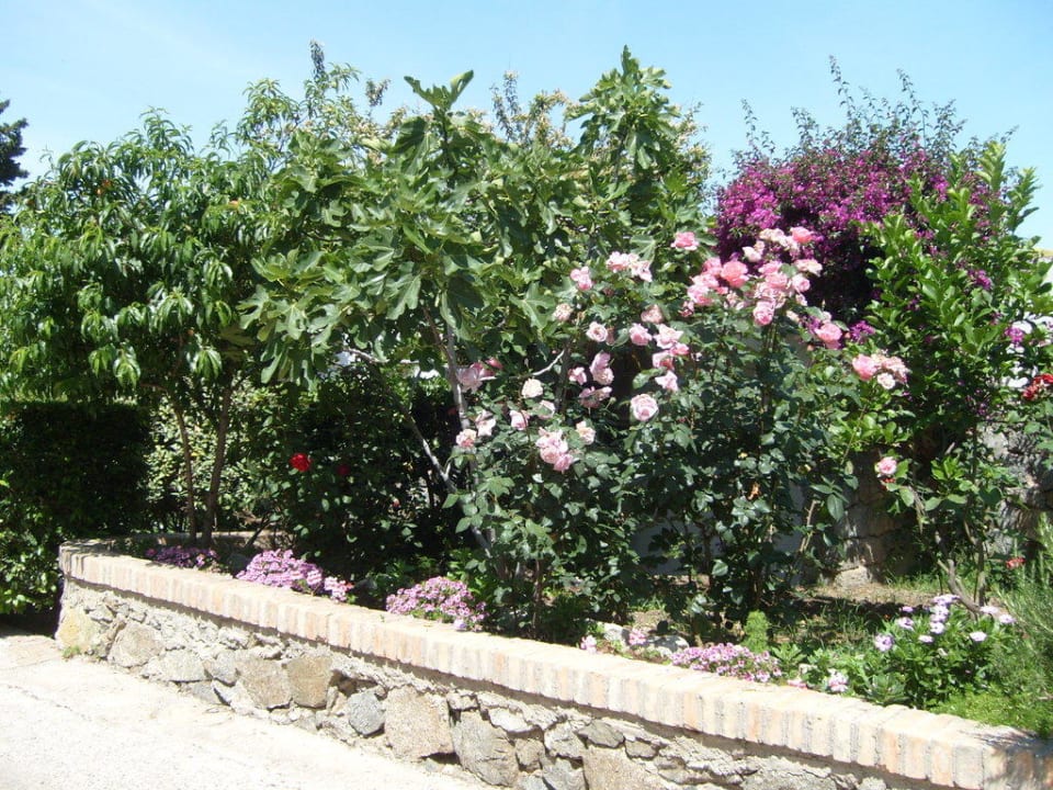 Hotelanlage  Aldiana Club Rocca Nettuno Calabria