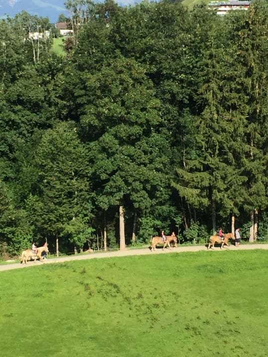 Außenansicht Hotel Christoph