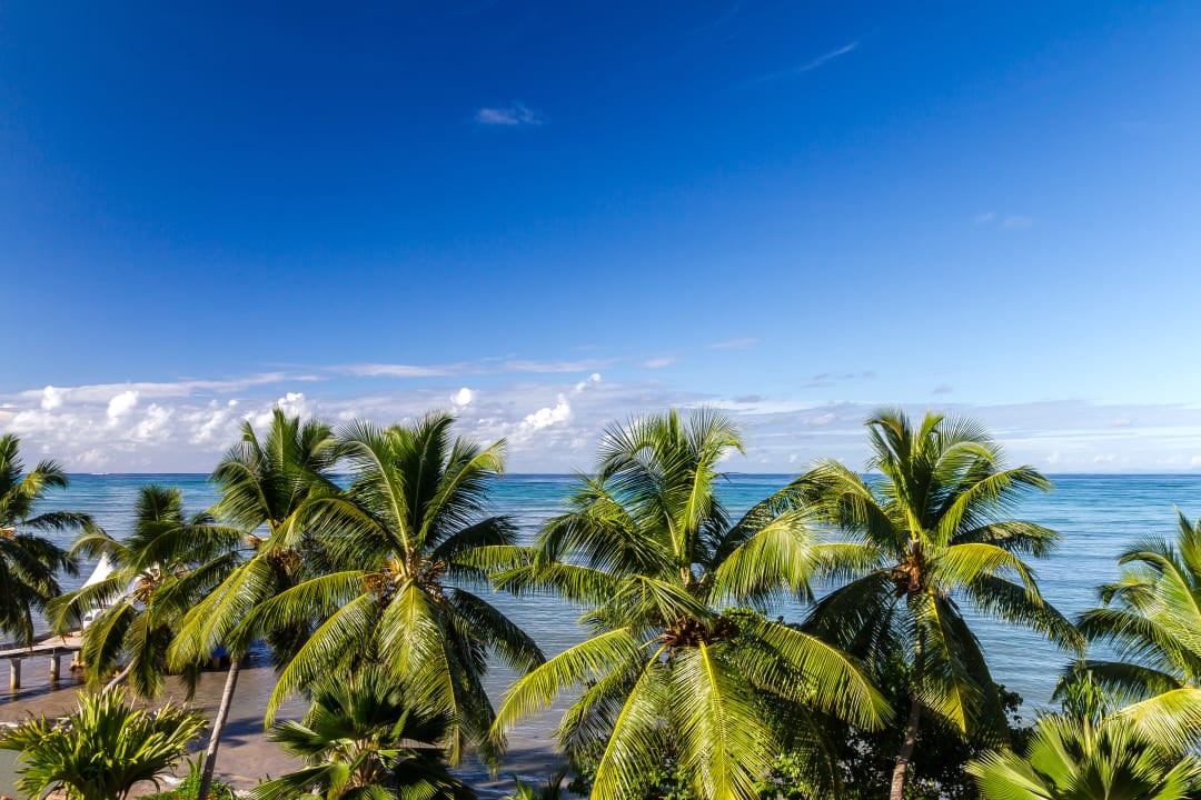 Ausblick The Coco de Mer Hotel & Black Parrot Suites
