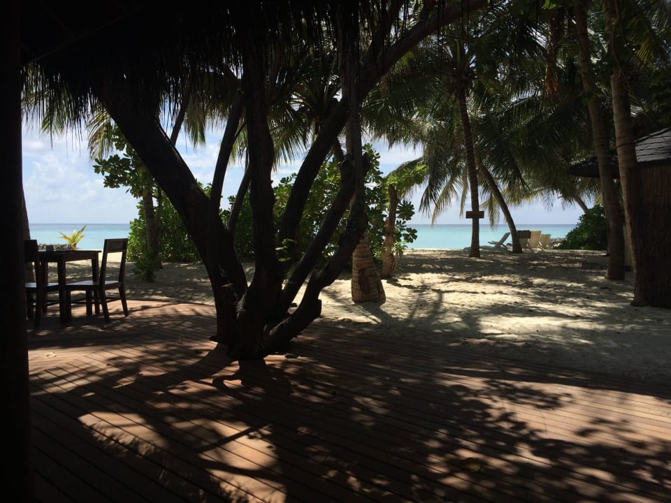 Ausblick vom Speisesaal Summer Island Maldives