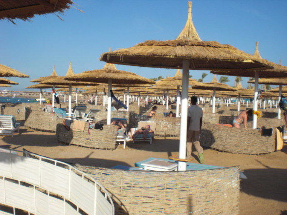 Das ist Urlau pur Pickalbatros Dana Beach Resort - Hurghada