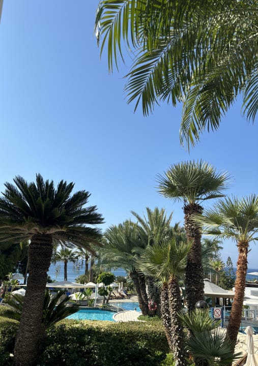 Außenansicht Mediterranean Beach Hotel