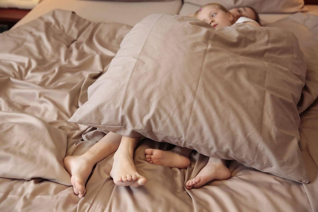 Zum Wohlfühlen Hotel & Restaurant Adler - BIO-zertifiziert