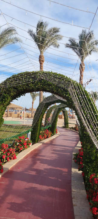 Gartenanlage Pickalbatros Palace Resort