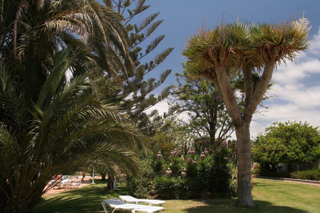 Liegewiese um den Pool Bungalows Cordial Sandy Golf