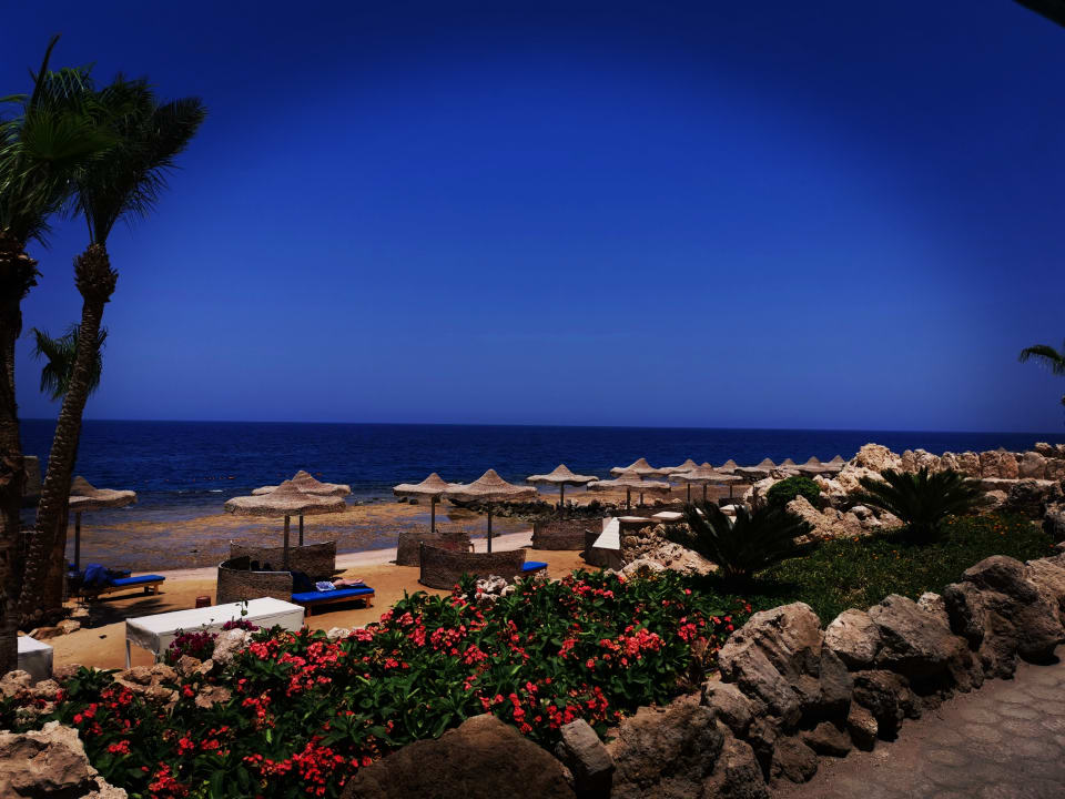 Außenansicht Pickalbatros Citadel Resort