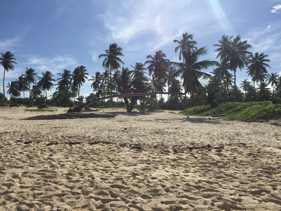 Strand Hotel Riu Bambu