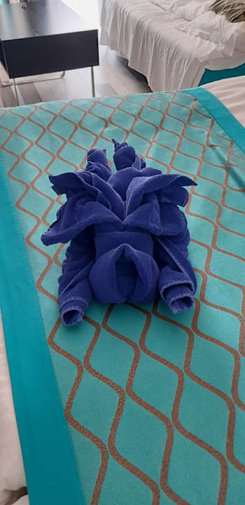 Zimmer Sentido Marea